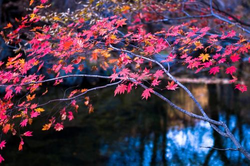 污污色多多精选推荐