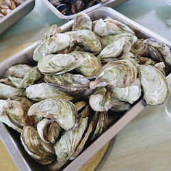 污污色多多功能界面展示